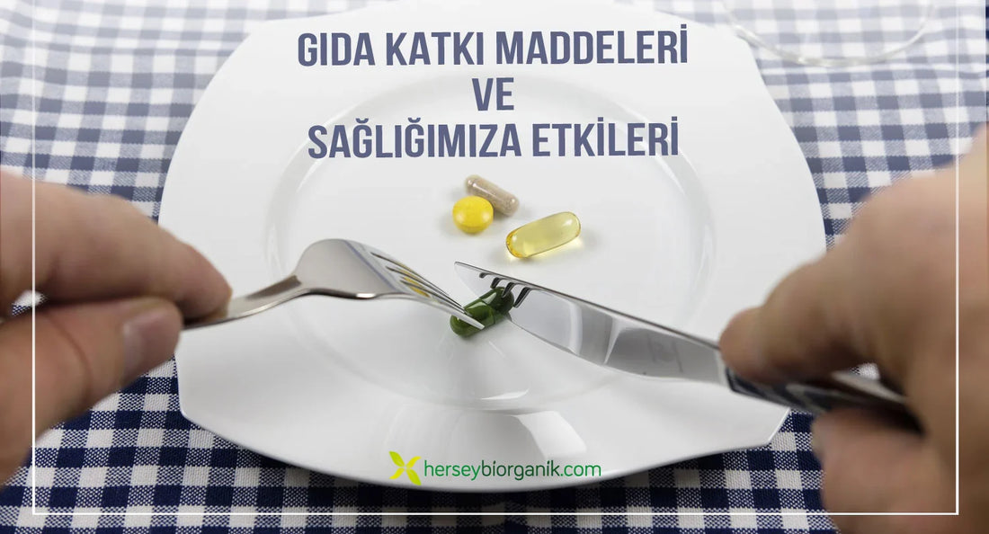 GIDA KATKI MADDELERİ VE SAĞLIĞIMIZA ETKİLERİ