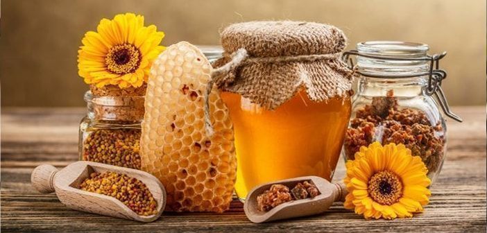 Organik Bal Nasıl Anlaşılır? Gerçek Balı Sahte Olandan Ayırmanın Yolları