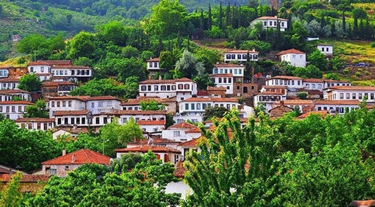 Şirince Zeytinyağı: Doğallığın ve Sağlığın Sofranıza Gelen Lezzeti