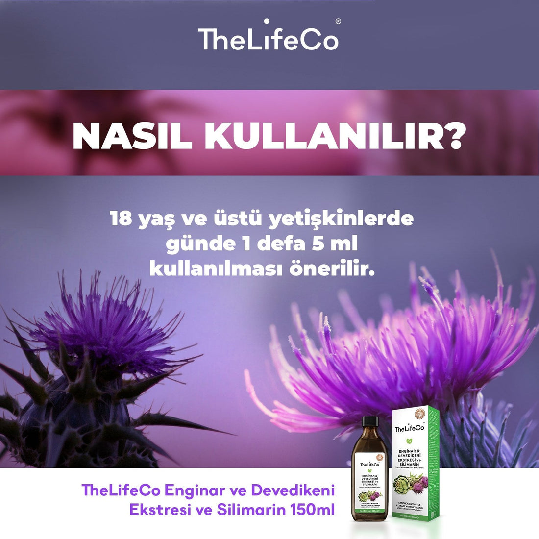 Enginar ve Devedikeni Ekstratı: Karaciğer Dostu Doğal Güç