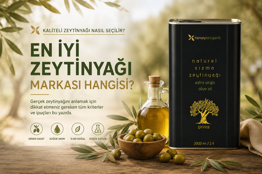 En İyi Zeytinyağı Markası Hangisi? Kaliteli Zeytinyağı Nasıl Seçilir?