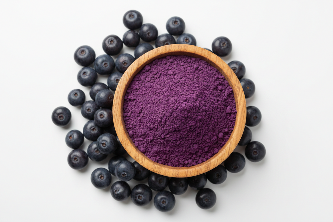 Maquiberry Meyvesi Tozu Nedir? Faydaları ve Kullanım Alanları