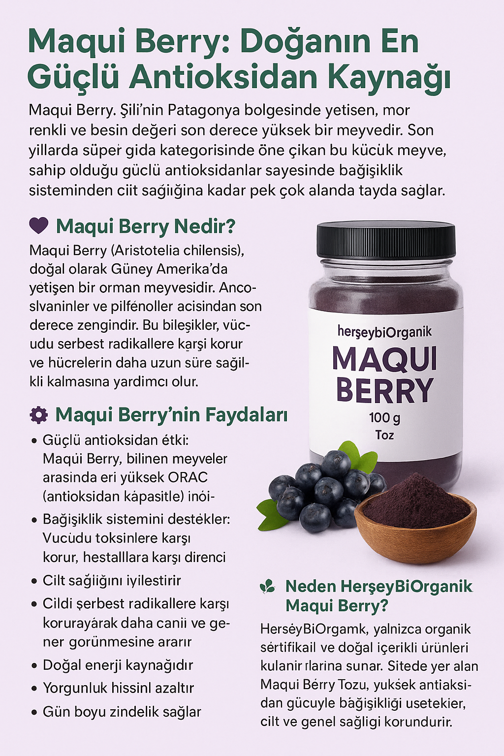 Maqui Berry: Doğanın En Güçlü Antioksidan Kaynağı