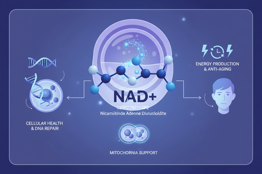 NAD+ Nedir?
