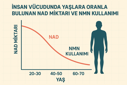 NAD Nedir? Yaşlanma ile Azalan NAD Seviyeleri ve Gençlik Enerjisinin Bilimsel Sırrı