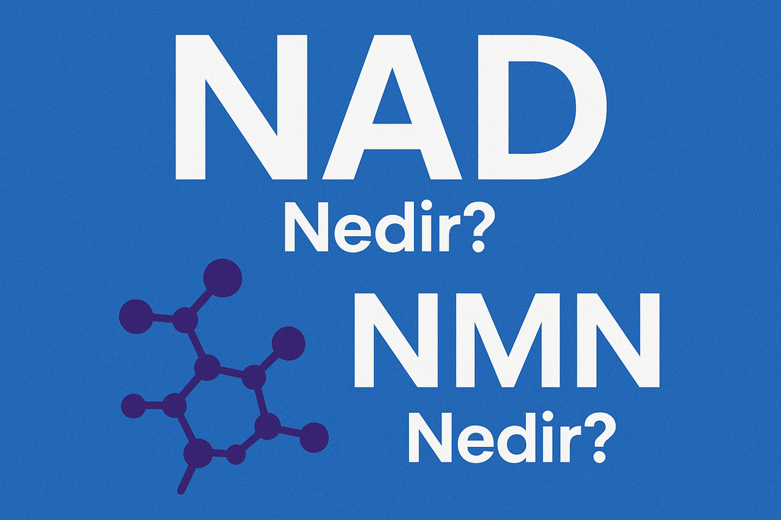 NAD Nedir? Hücresel Enerjinin Anahtarı ve NMN ile Olan Güçlü İlişkisi