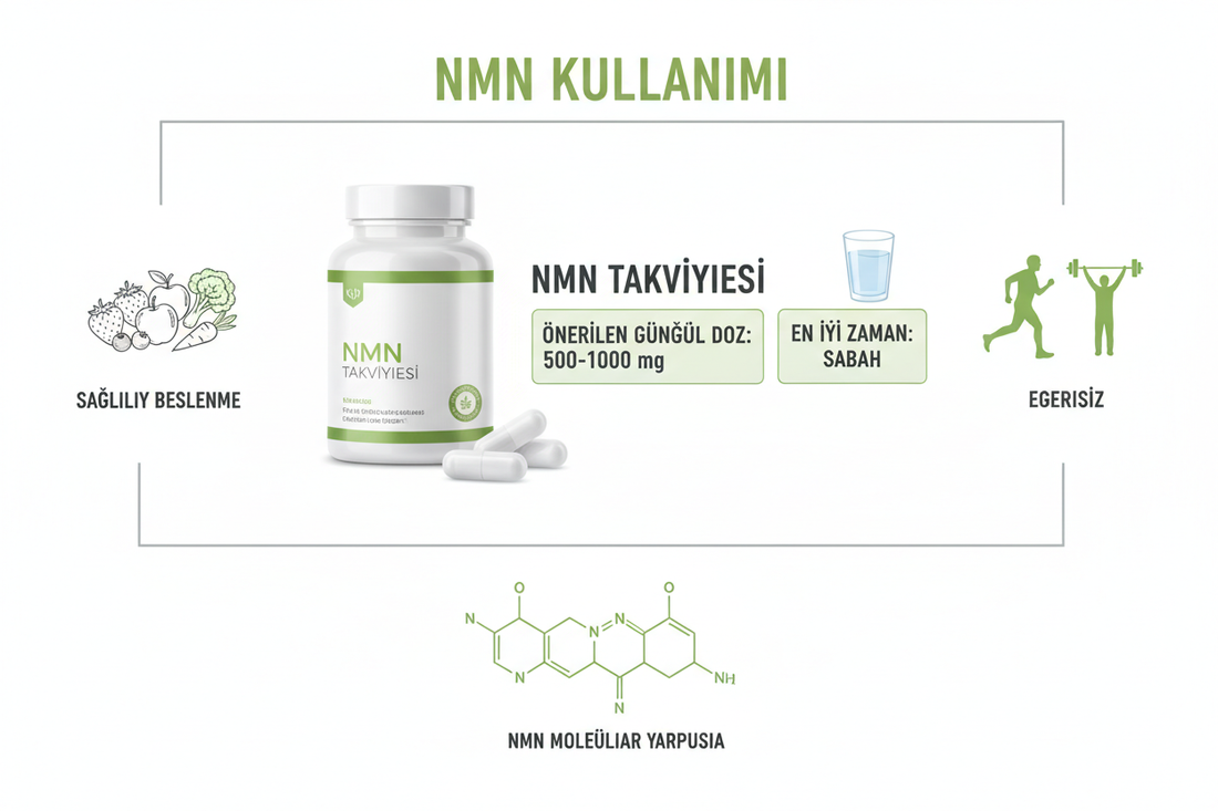NMN Önerilen Doz Nedir? NMN Kaç mg Kullanılmalı?