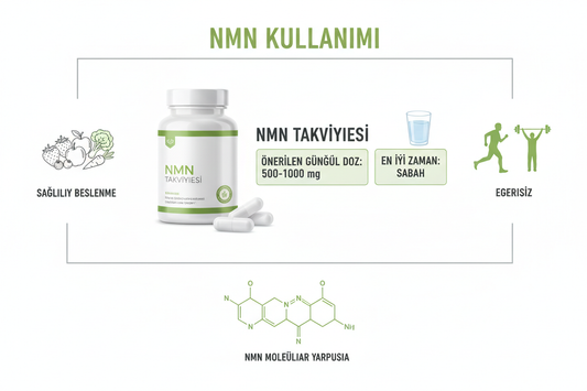 NMN Önerilen Doz Nedir? NMN Kaç mg Kullanılmalı?