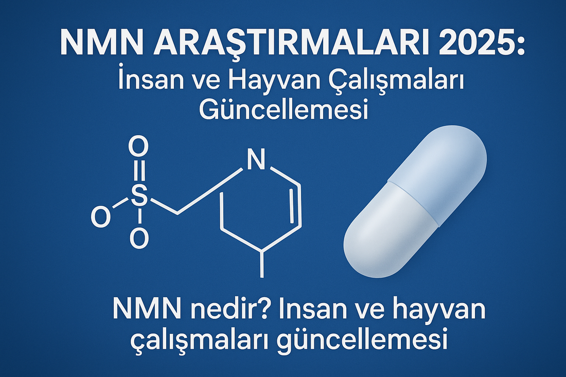 NMN Araştırmaları 2025: İnsan ve Hayvan Çalışmaları Güncellemesi
