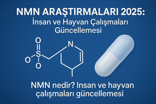 NMN Araştırmaları 2025: İnsan ve Hayvan Çalışmaları Güncellemesi