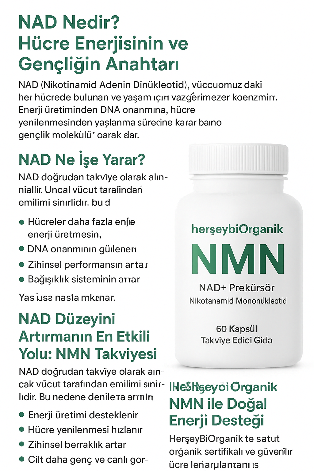 NAD Nedir? Hücre Enerjisinin ve Gençliğin Anahtarı