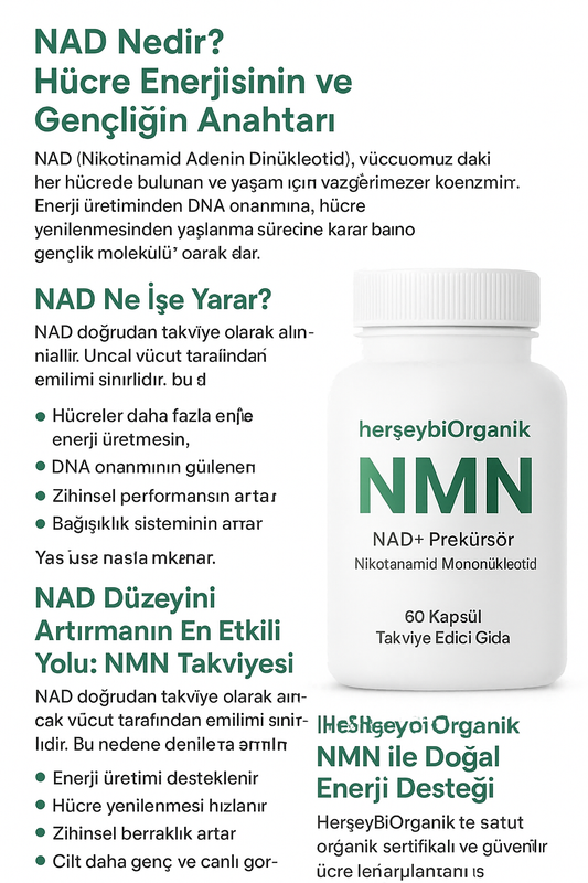 NAD Nedir? Hücre Enerjisinin ve Gençliğin Anahtarı