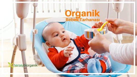 ORGANİK BEBEK TARHANASI