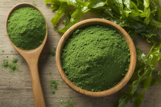 Organik Chlorella Tozu Nedir? Faydaları ve Kullanım Alanları