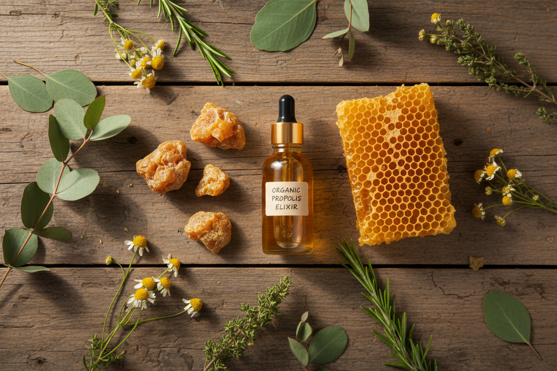 Propolis Nedir? Propolisin Özellikleri ve Kullanım Alanları