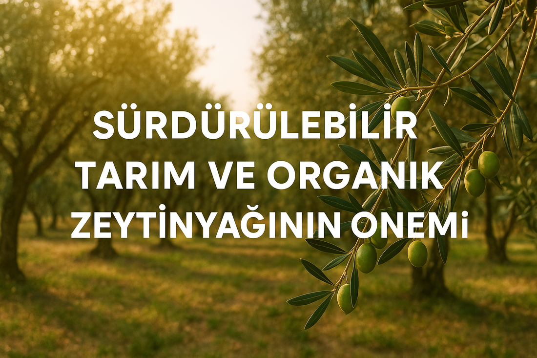 Sürdürülebilir Tarım ve Organik Zeytinyağının Önemi