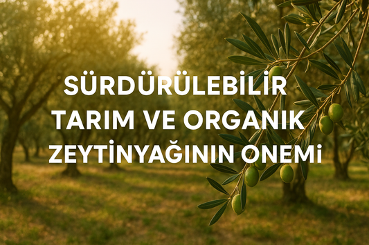 Sürdürülebilir Tarım ve Organik Zeytinyağının Önemi