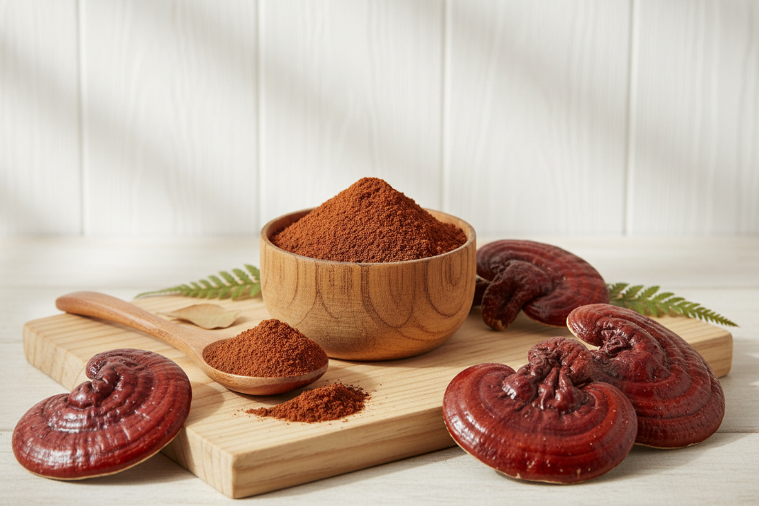 Reishi Mantarı Tozu Nedir? Ölümsüzlük Mantarı ile Doğal Destek