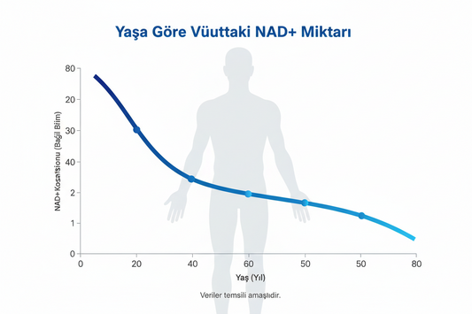 En İyi NMN Markası Hangisi? Kaliteli ve Güvenilir NMN Seçimi Rehberi
